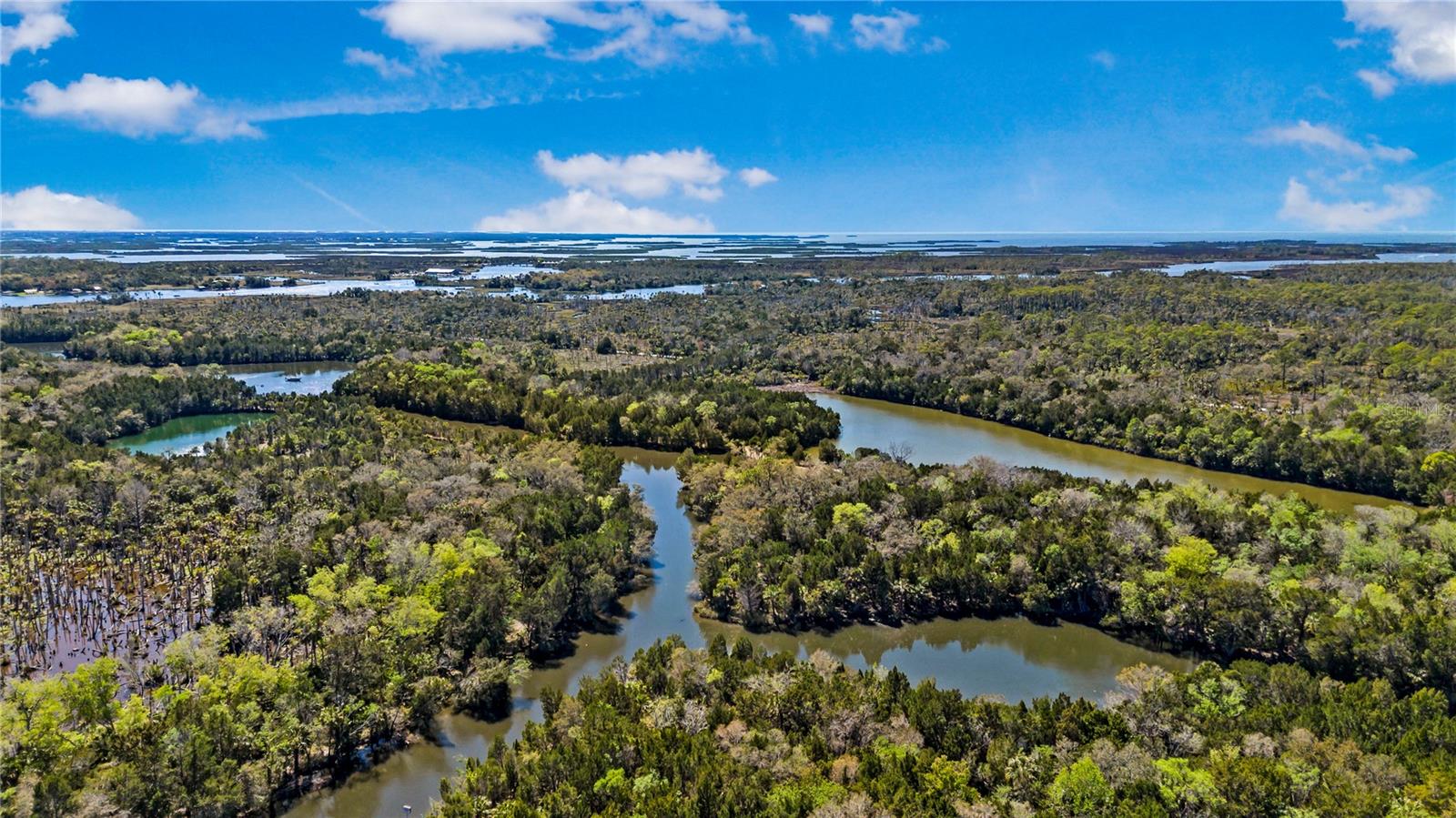 Image 62 of 69 For 3929 Sagomon Point