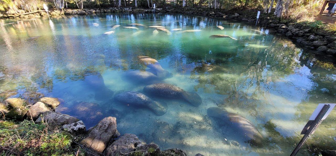 Image 68 of 69 For 3929 Sagomon Point