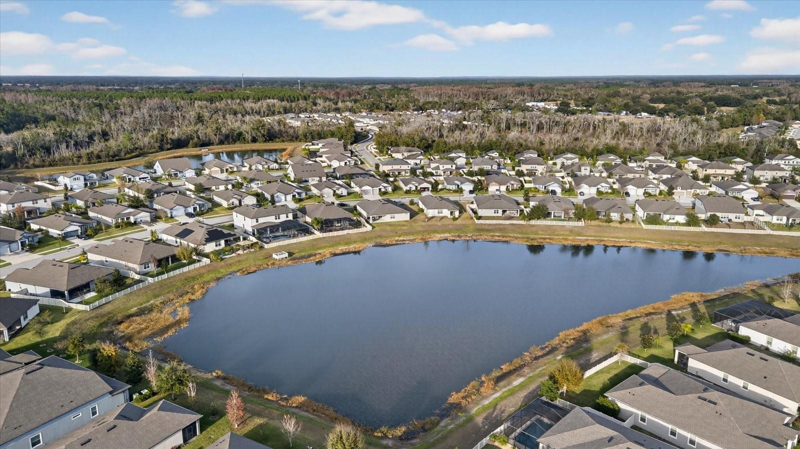 Image 10 of 68 For 12740 Palapa Loop