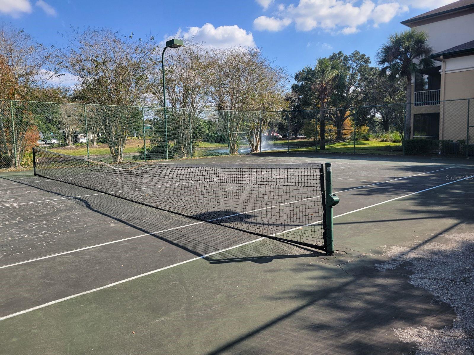 Image 40 of 43 For 17106 Carrington Park Drive 627