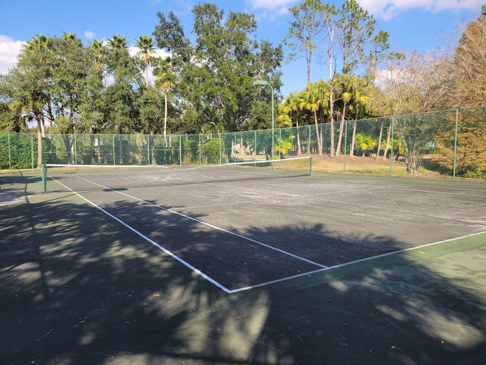 Image 42 of 43 For 17106 Carrington Park Drive 627