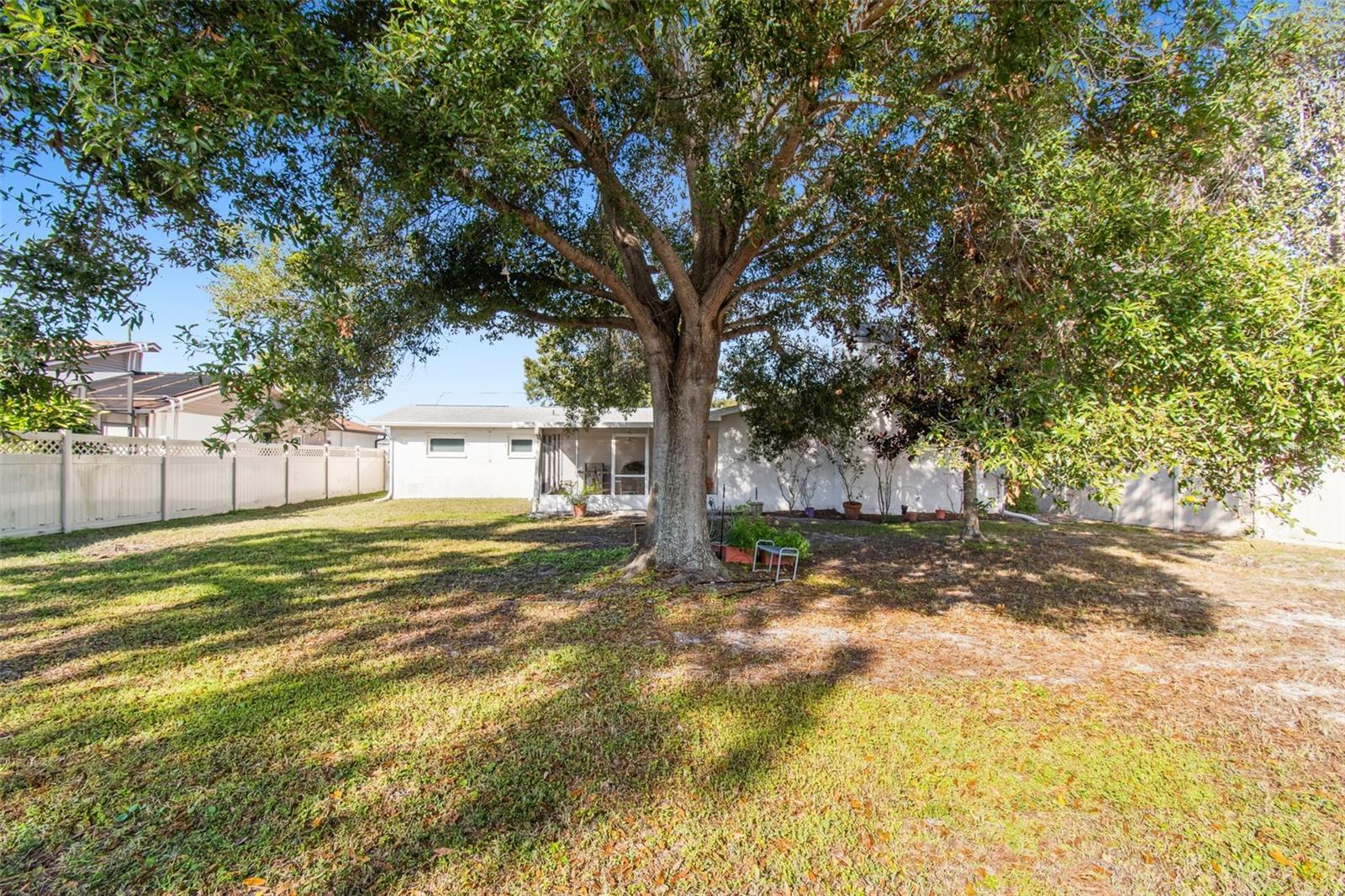 Image 64 of 83 For 12946 88th Avenue