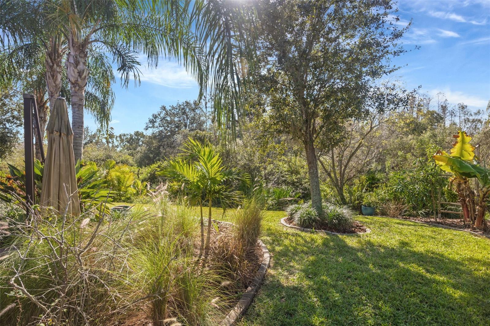 Image 75 of 99 For 30552 Ivy Forge Court