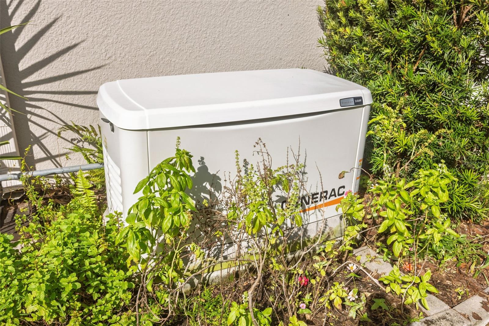 Image 77 of 99 For 30552 Ivy Forge Court