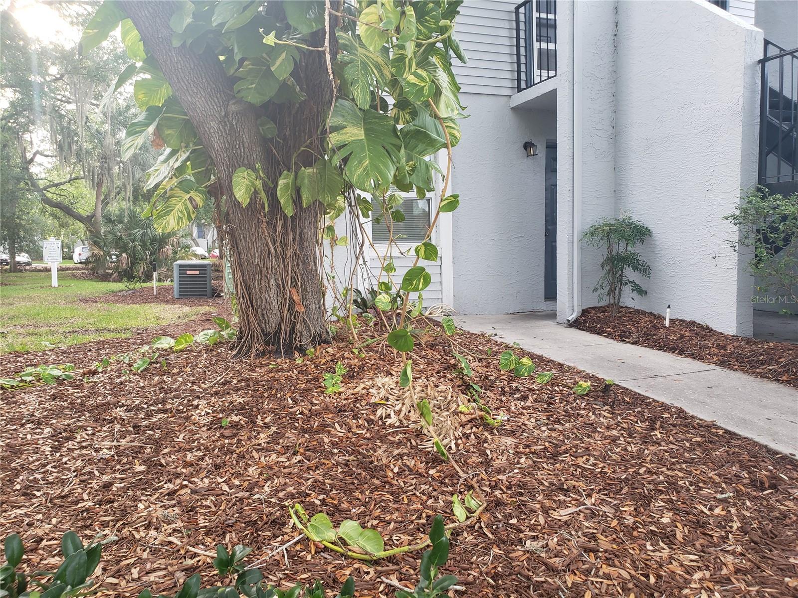 Details for 7100 Waterside Drive, TAMPA, FL 33617