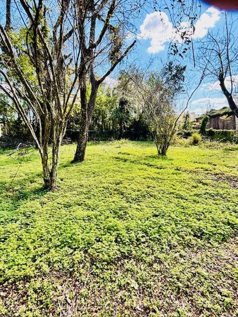 Image 3 of 13 For 35444 Darlene Drive