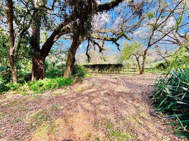 Image 6 of 13 For 35444 Darlene Drive