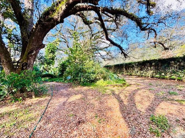 Image 8 of 13 For 35444 Darlene Drive