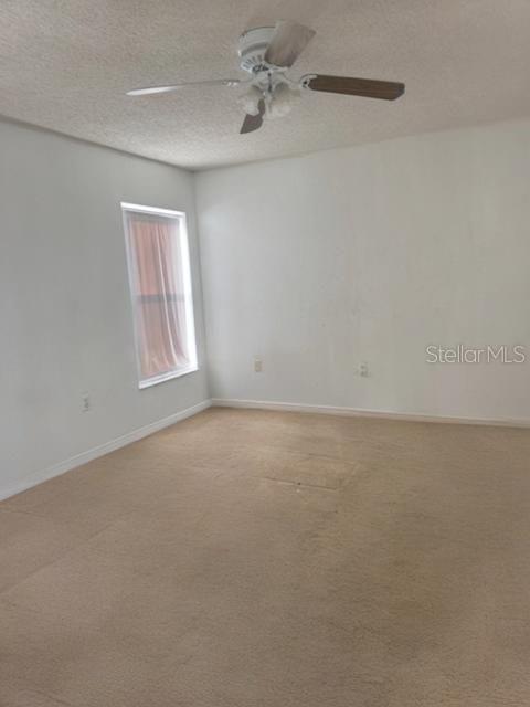 Image 8 of 20 For 702 Tartan Loop