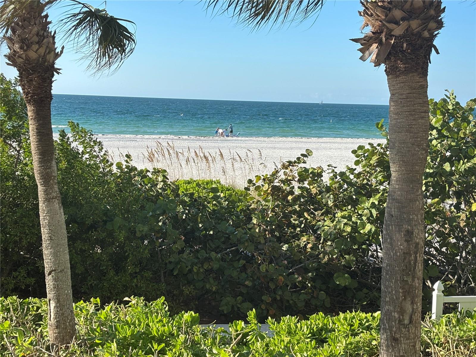 Image 28 of 35 For 1390 Gulf Boulevard 1204