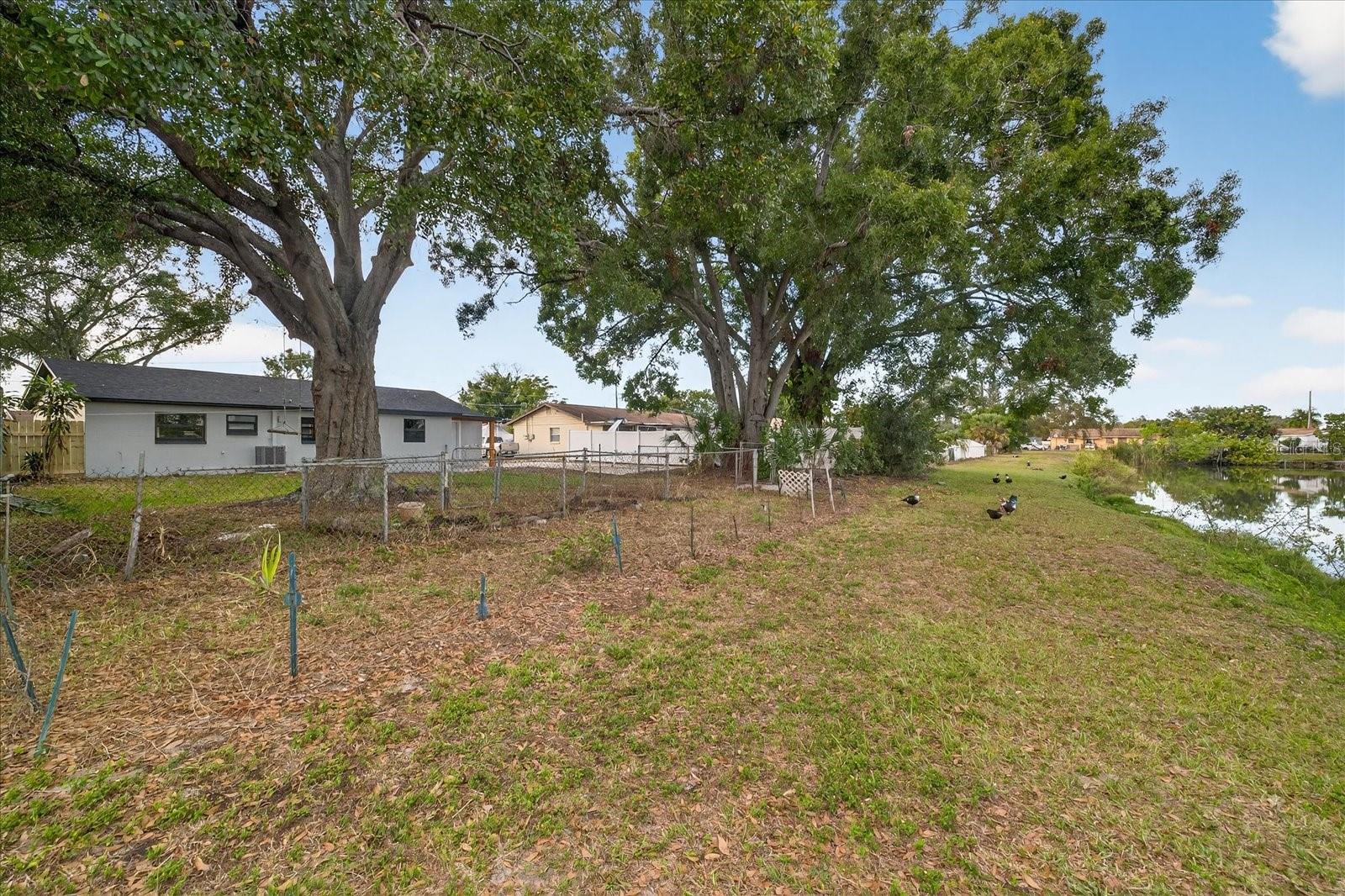 Image 45 of 49 For 6107 Cole Drive