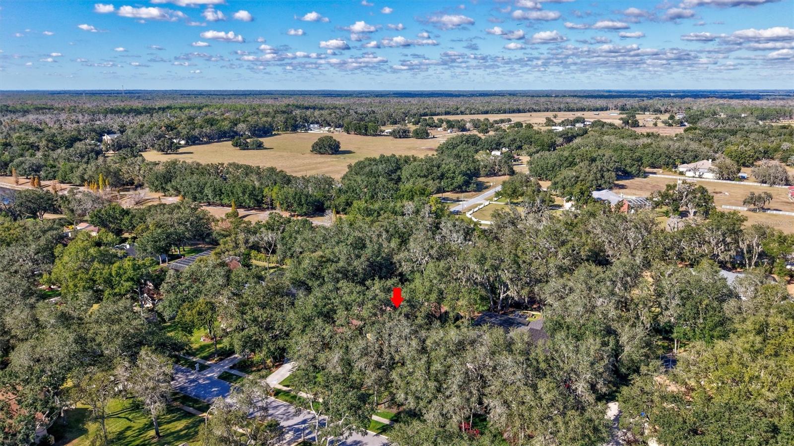 Image 37 of 41 For 6022 Hammock Hill Avenue