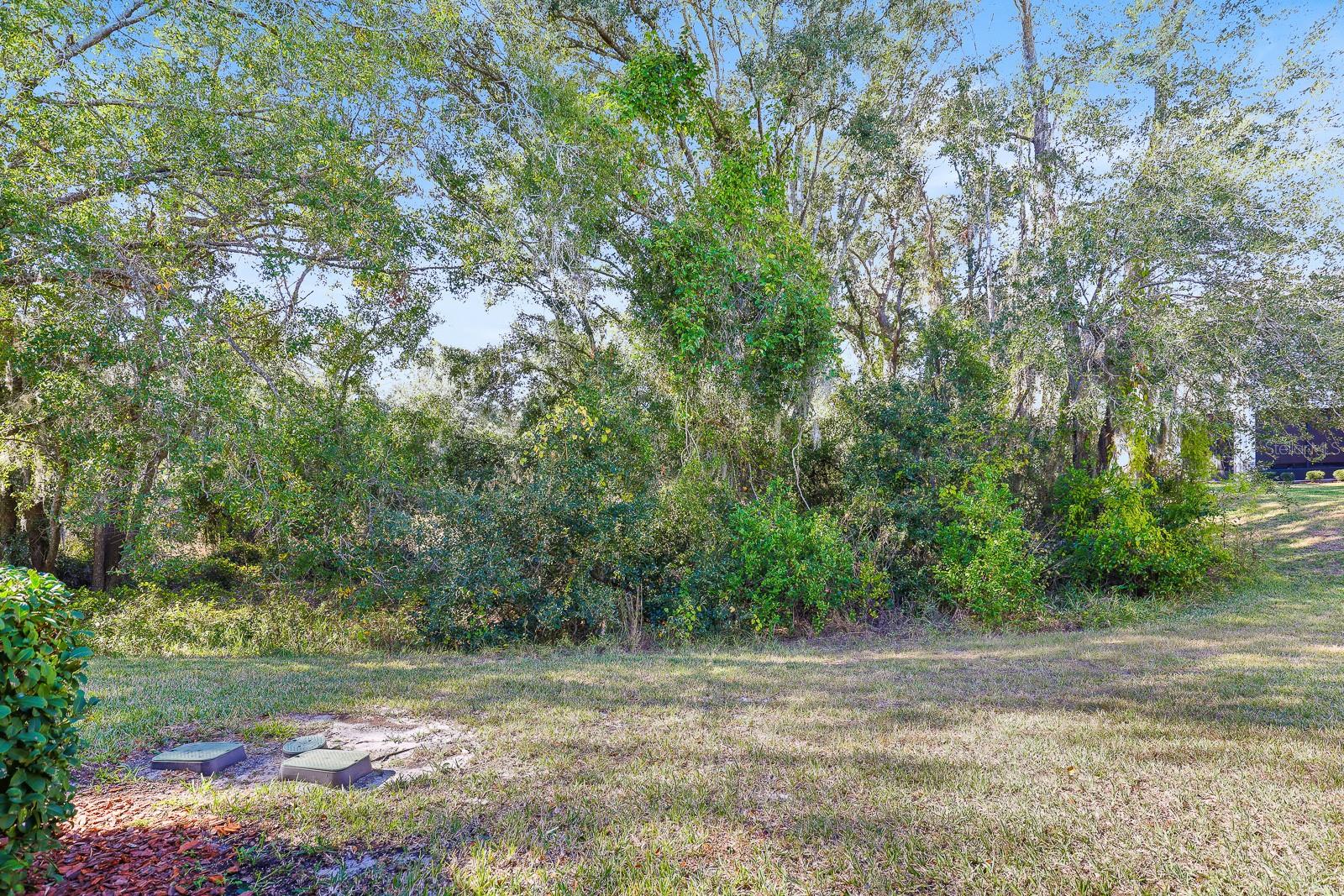 Image 25 of 25 For 14158 Damselfly Drive