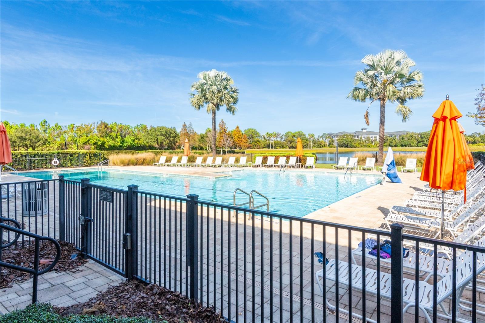 Image 68 of 69 For 6615 Current Drive