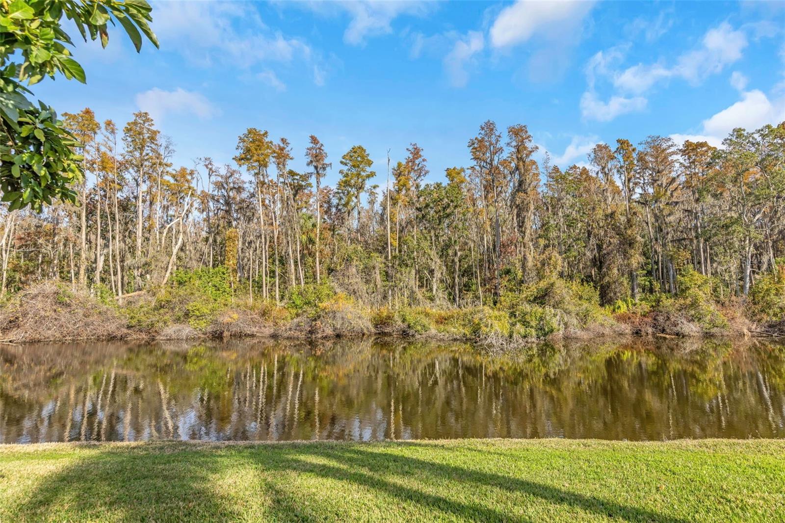 Image 2 of 21 For 2024 Heathfield Circle 155