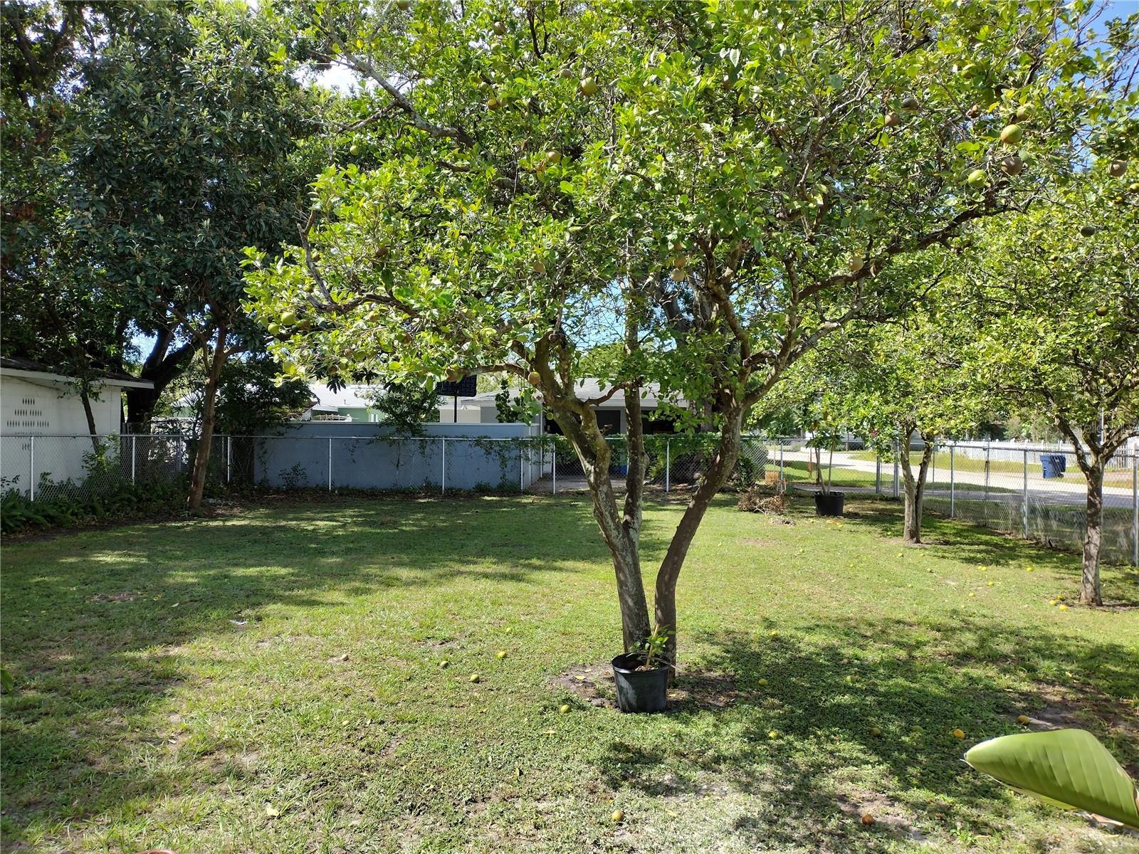 Image 22 of 22 For 216 Beverly Avenue