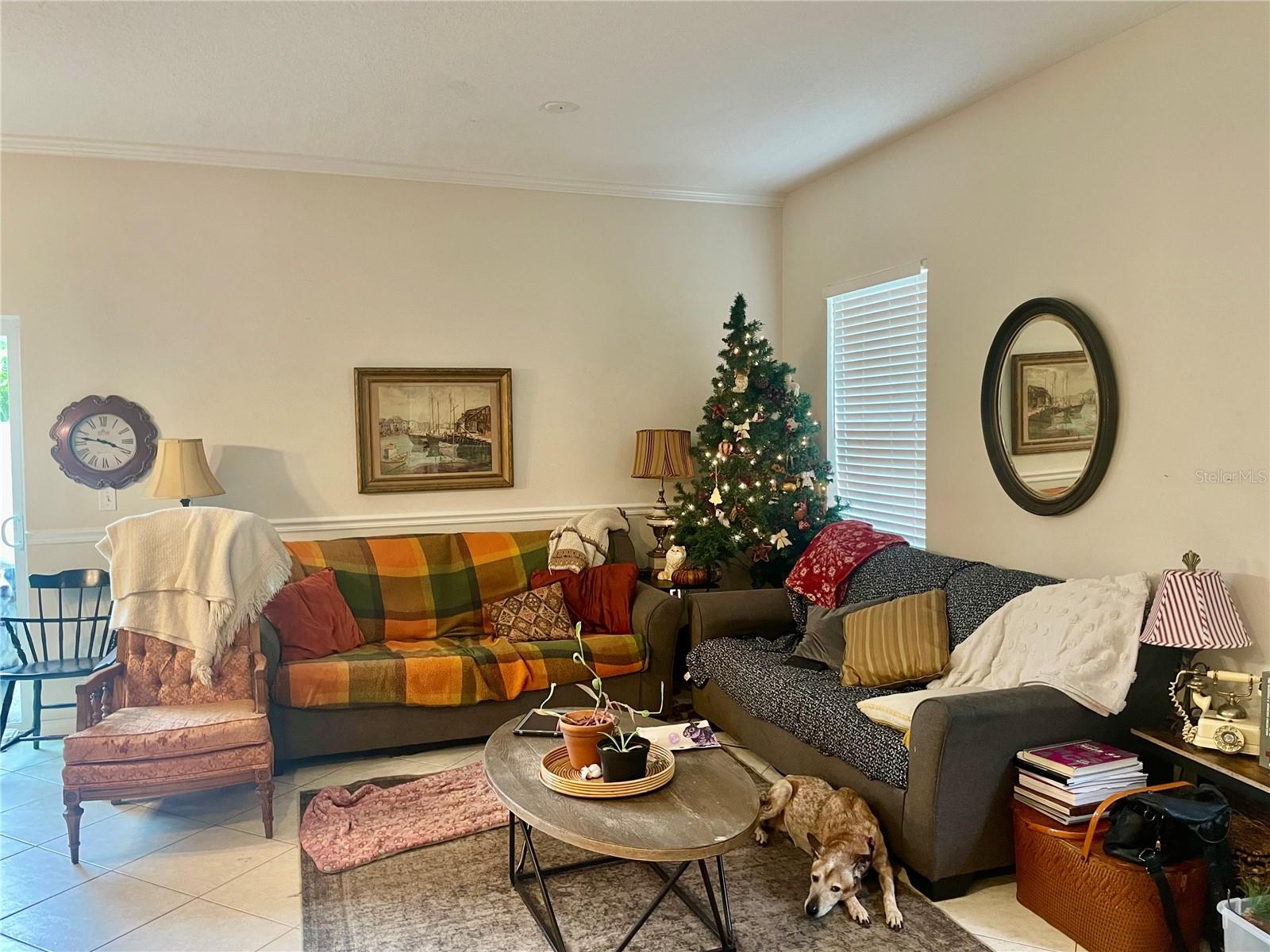 Image 3 of 28 For 646 Norfolk Street