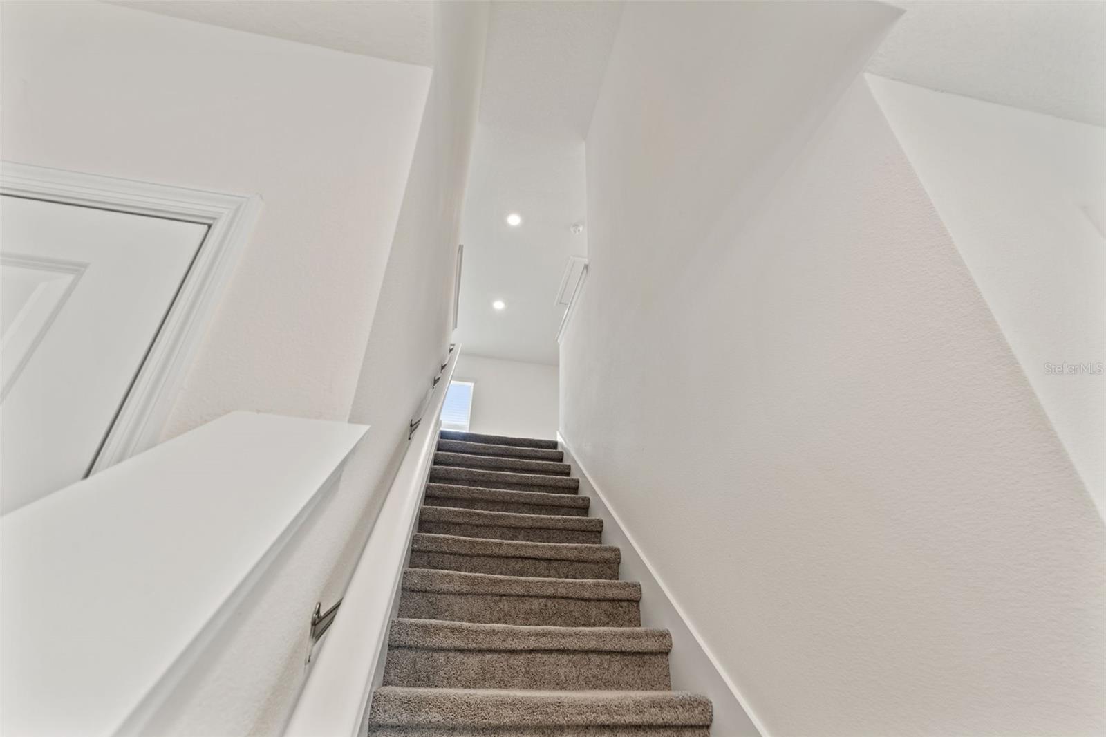 Image 42 of 48 For 30753 Penny Surf Loop