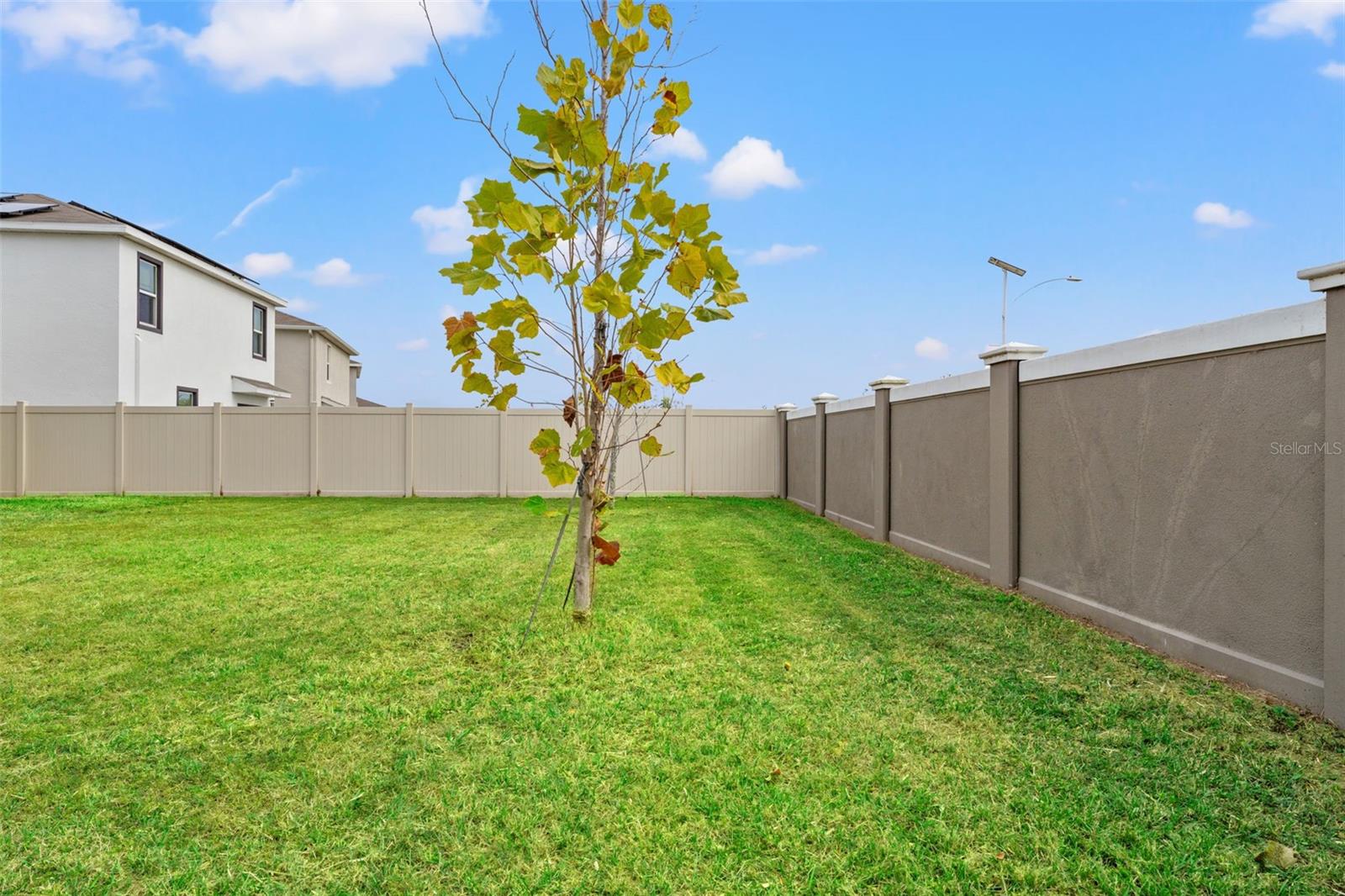 Image 7 of 48 For 30753 Penny Surf Loop