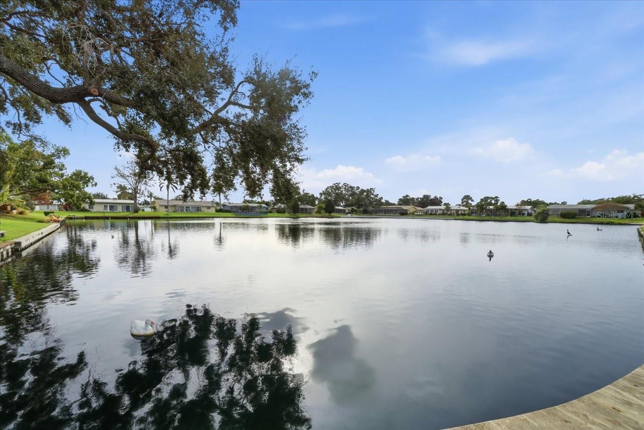 Image 53 of 60 For 11176 Hammock Drive