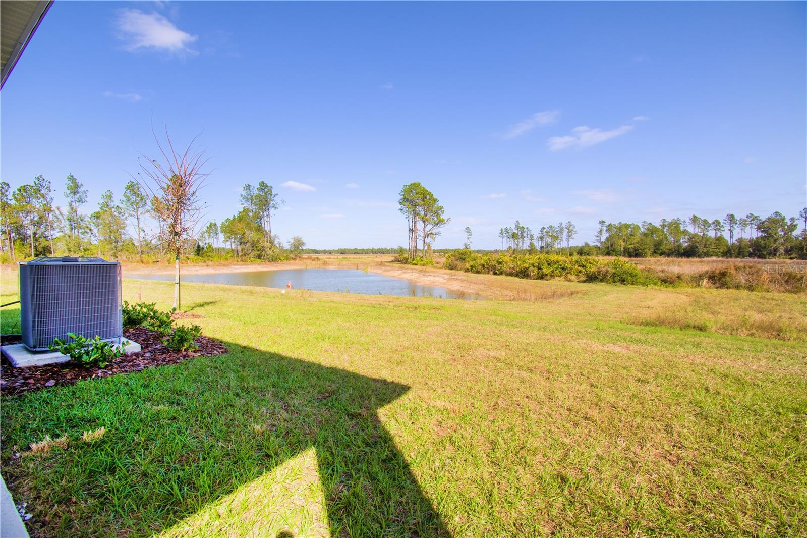 Image 18 of 21 For 37056 Sagemoor Drive