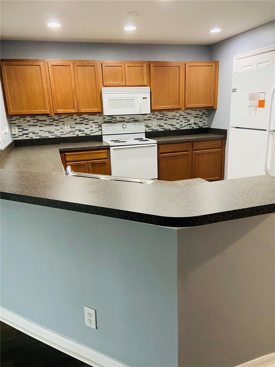 Listing photo id 3 for 11658 Mango Ridge Boulevard