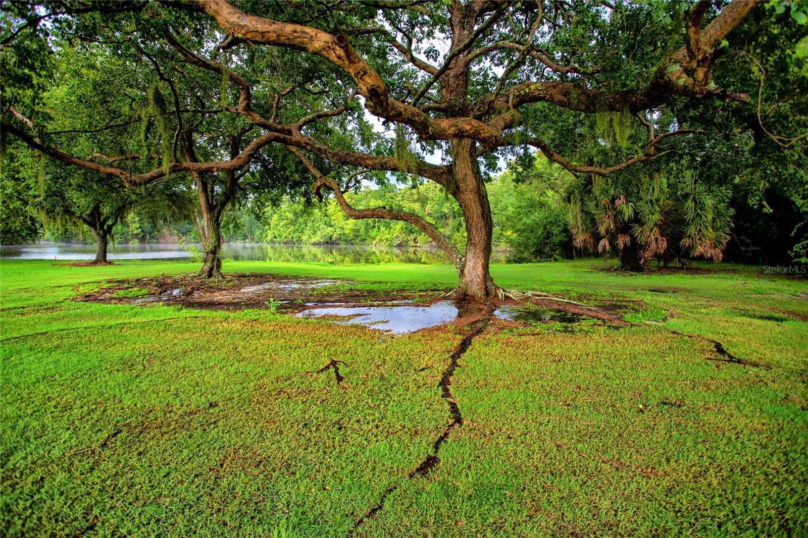 Image 39 of 48 For 209 Cypress Court 209