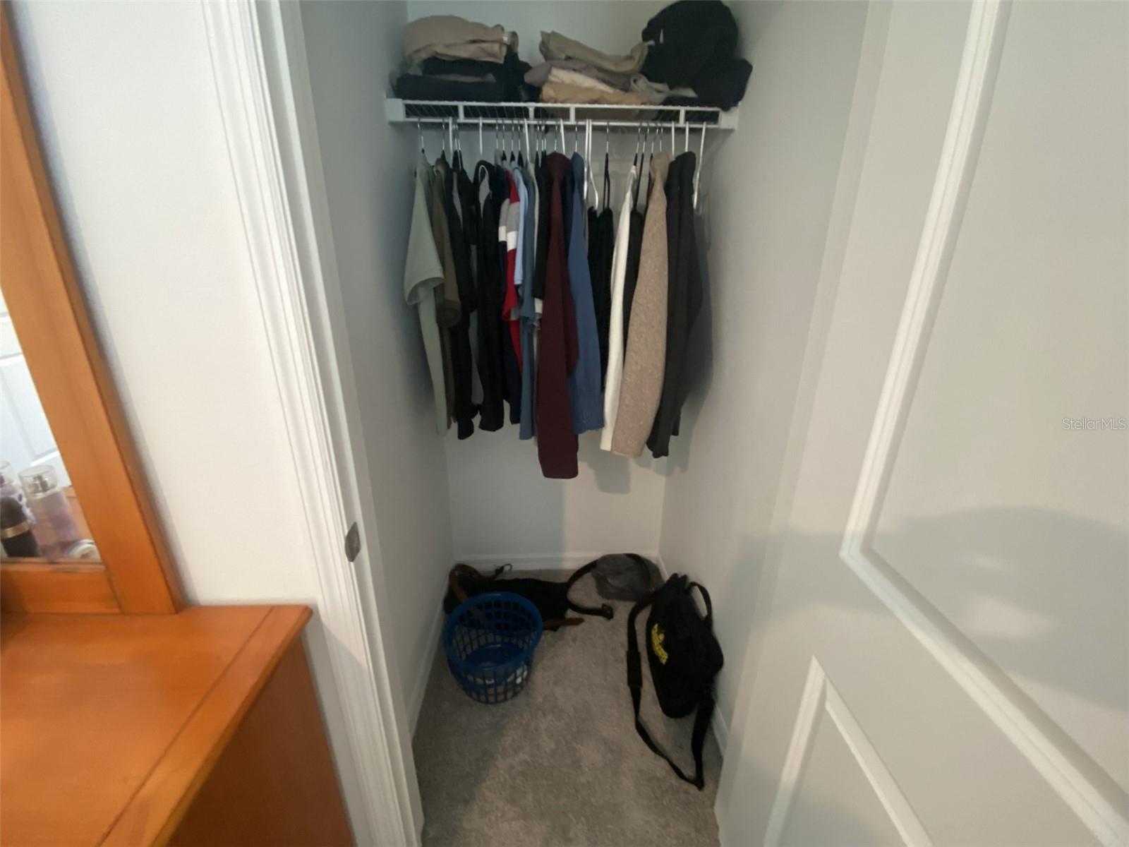 Image 30 of 48 For 261 Royal Spoonbill Drive