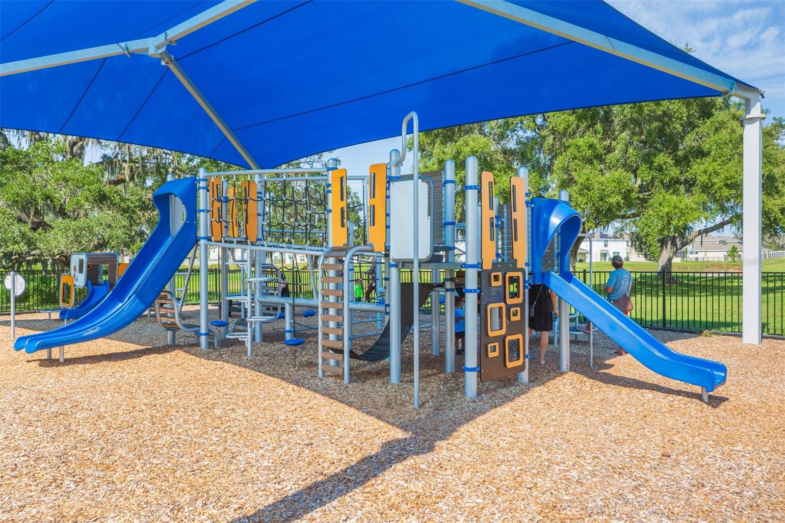 Image 66 of 95 For 31088 Jazz Leaf Place