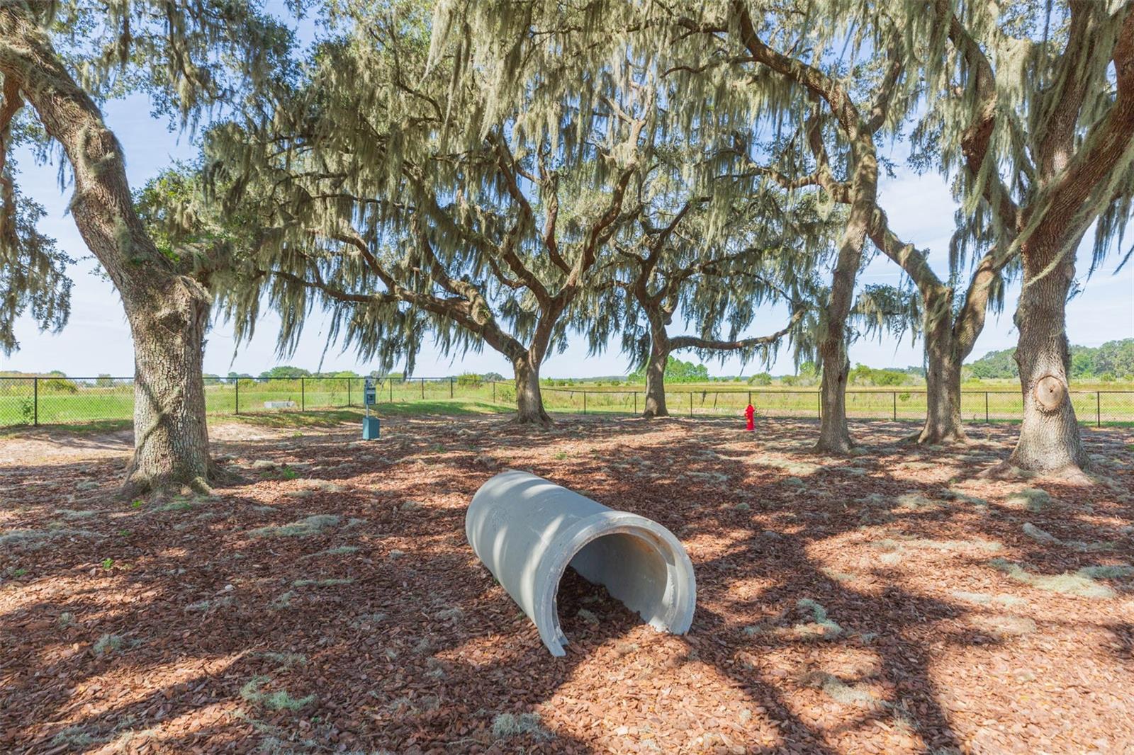 Image 67 of 95 For 31088 Jazz Leaf Place