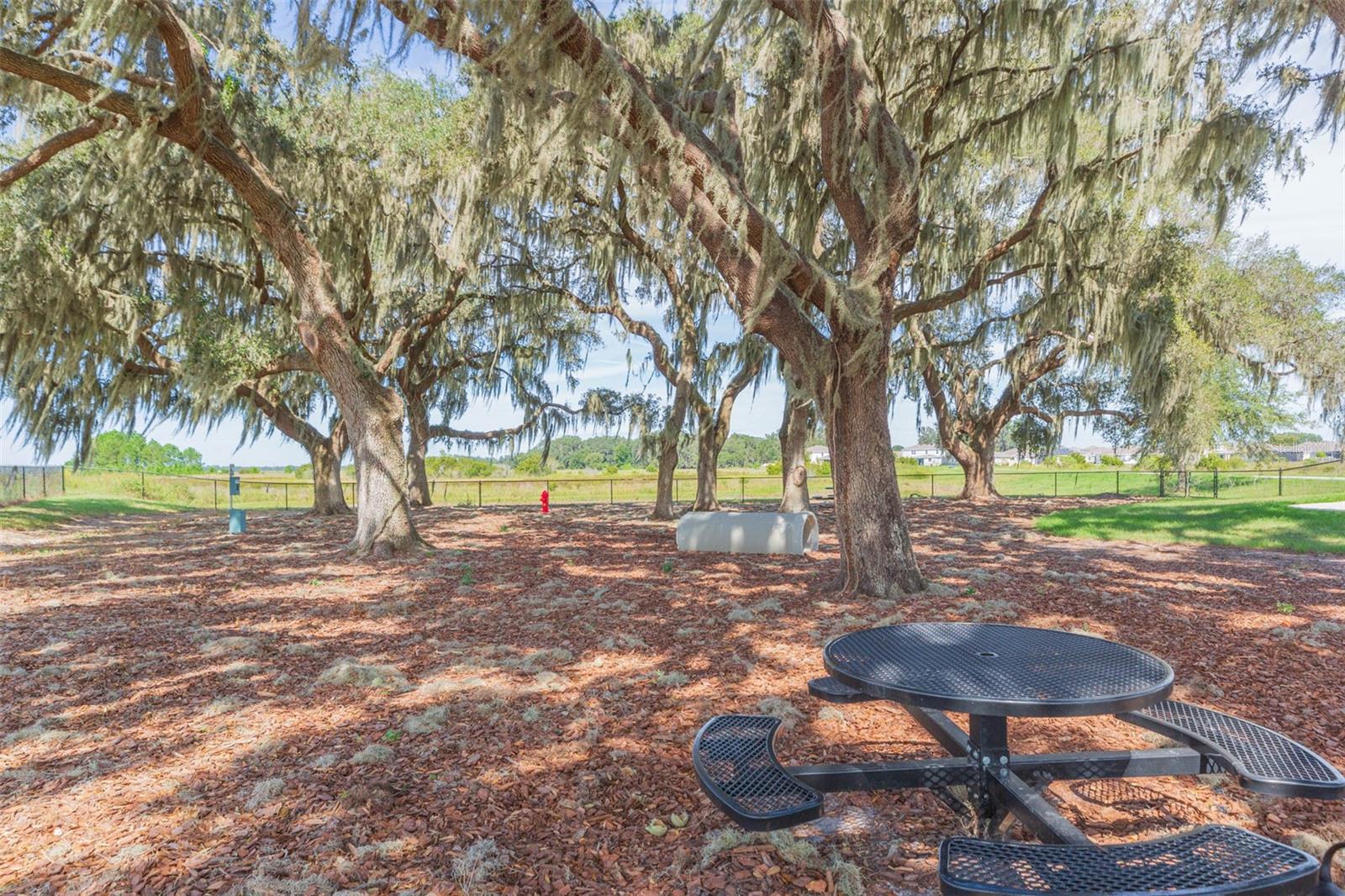 Image 68 of 95 For 31088 Jazz Leaf Place