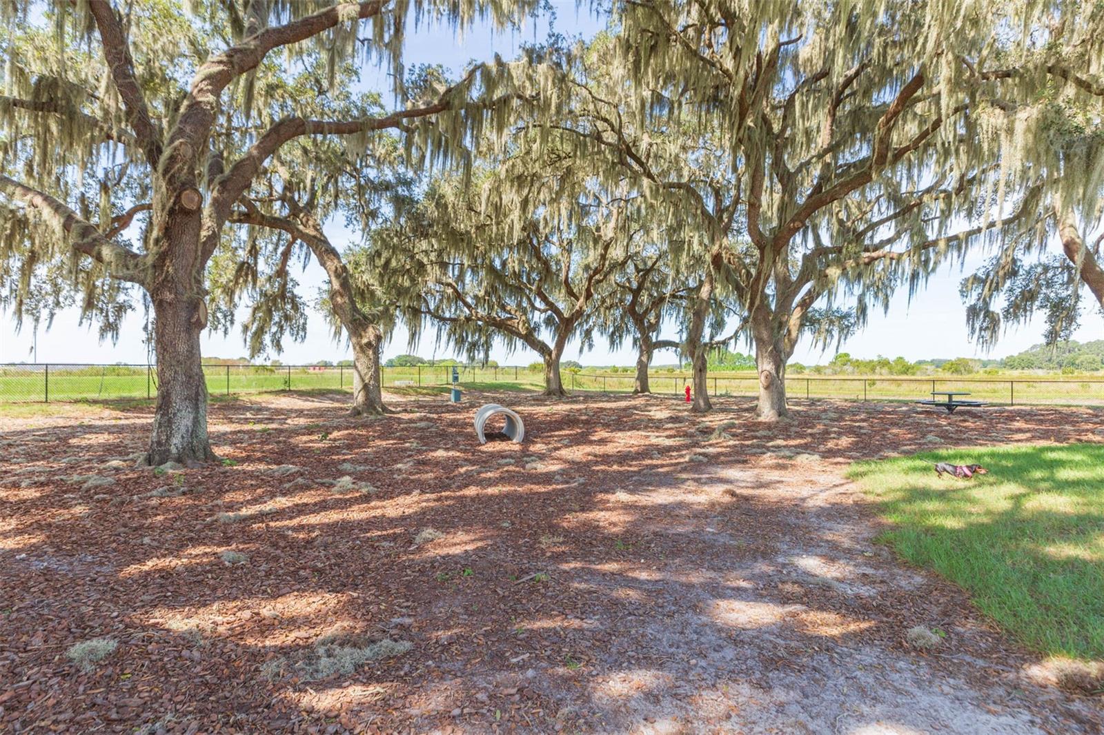 Image 69 of 95 For 31088 Jazz Leaf Place