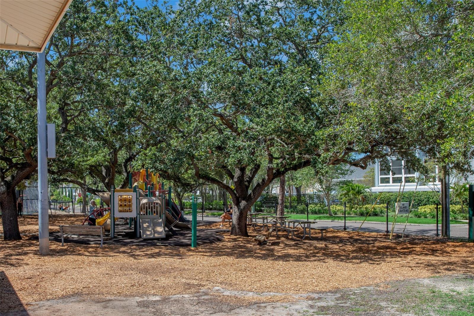 Image 28 of 28 For 420 Chippewa Avenue