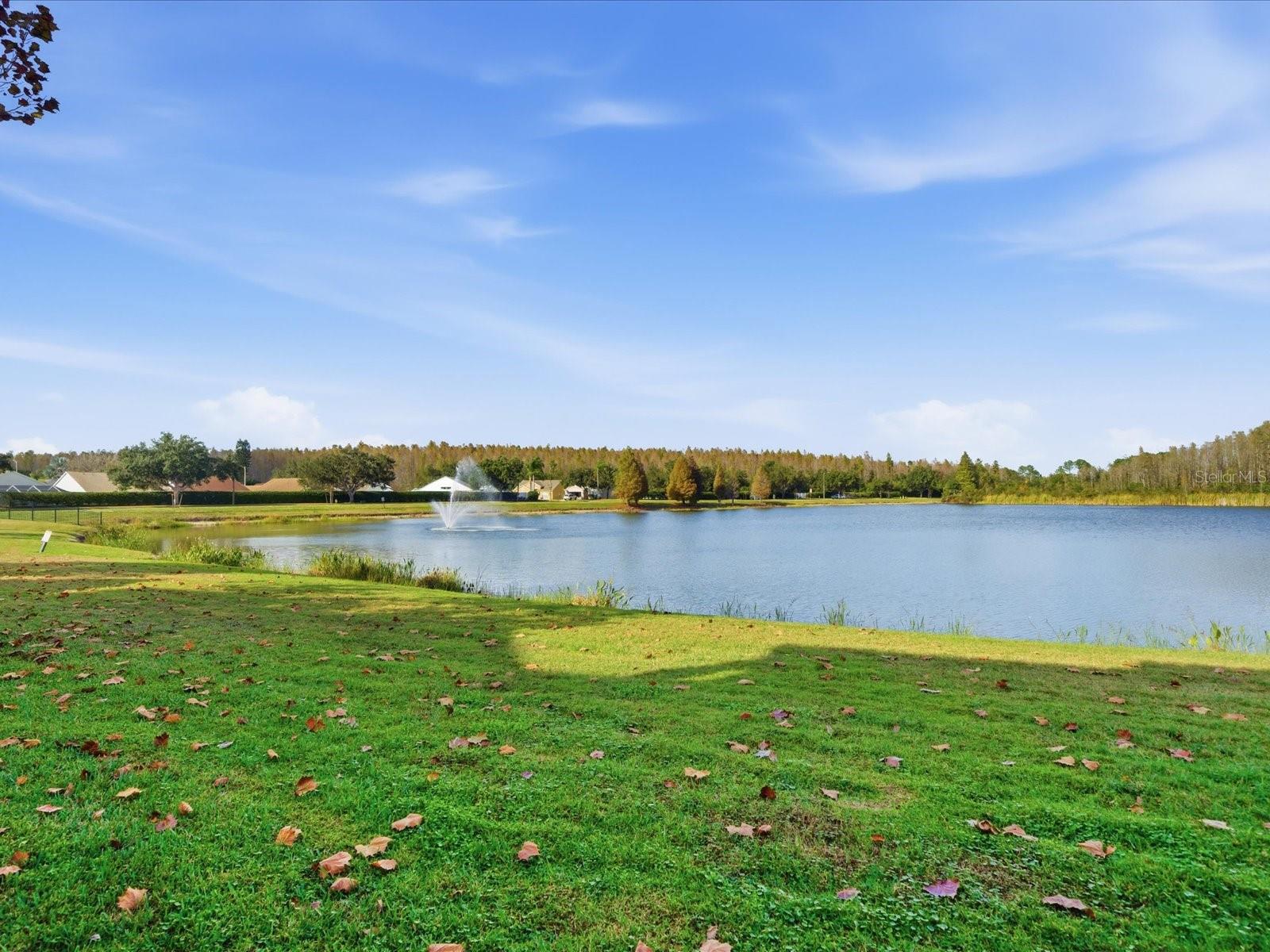 Image 44 of 44 For 4209 Woodstorks Walk Way 1204