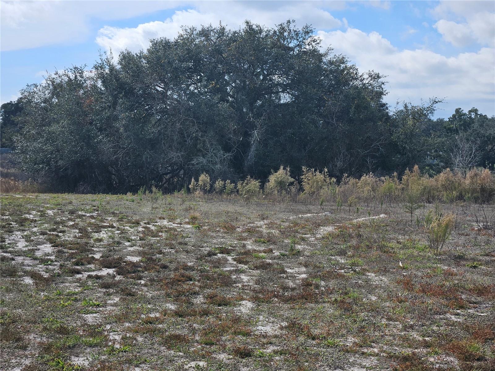 Listing photo id 1 for 34794 Orchid Parkway