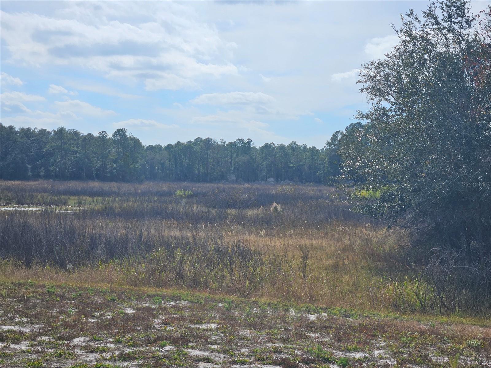 Listing photo id 2 for 34794 Orchid Parkway