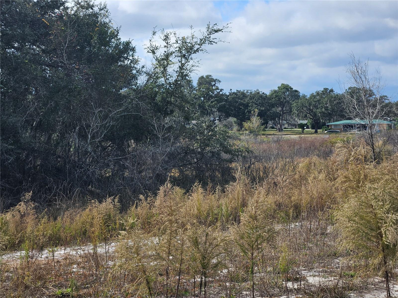 Listing photo id 3 for 34794 Orchid Parkway