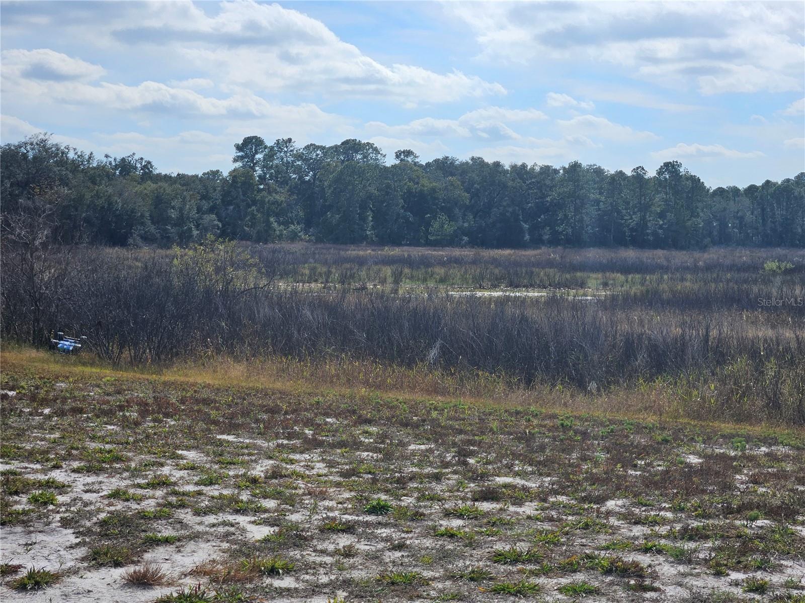 Listing photo id 4 for 34794 Orchid Parkway