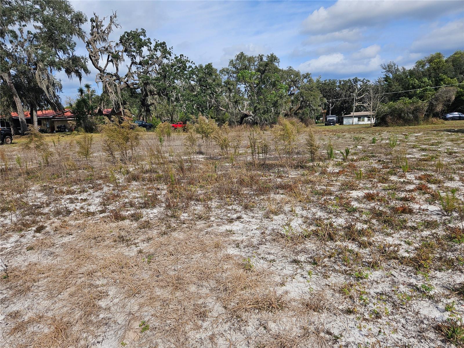 Listing photo id 6 for 34794 Orchid Parkway