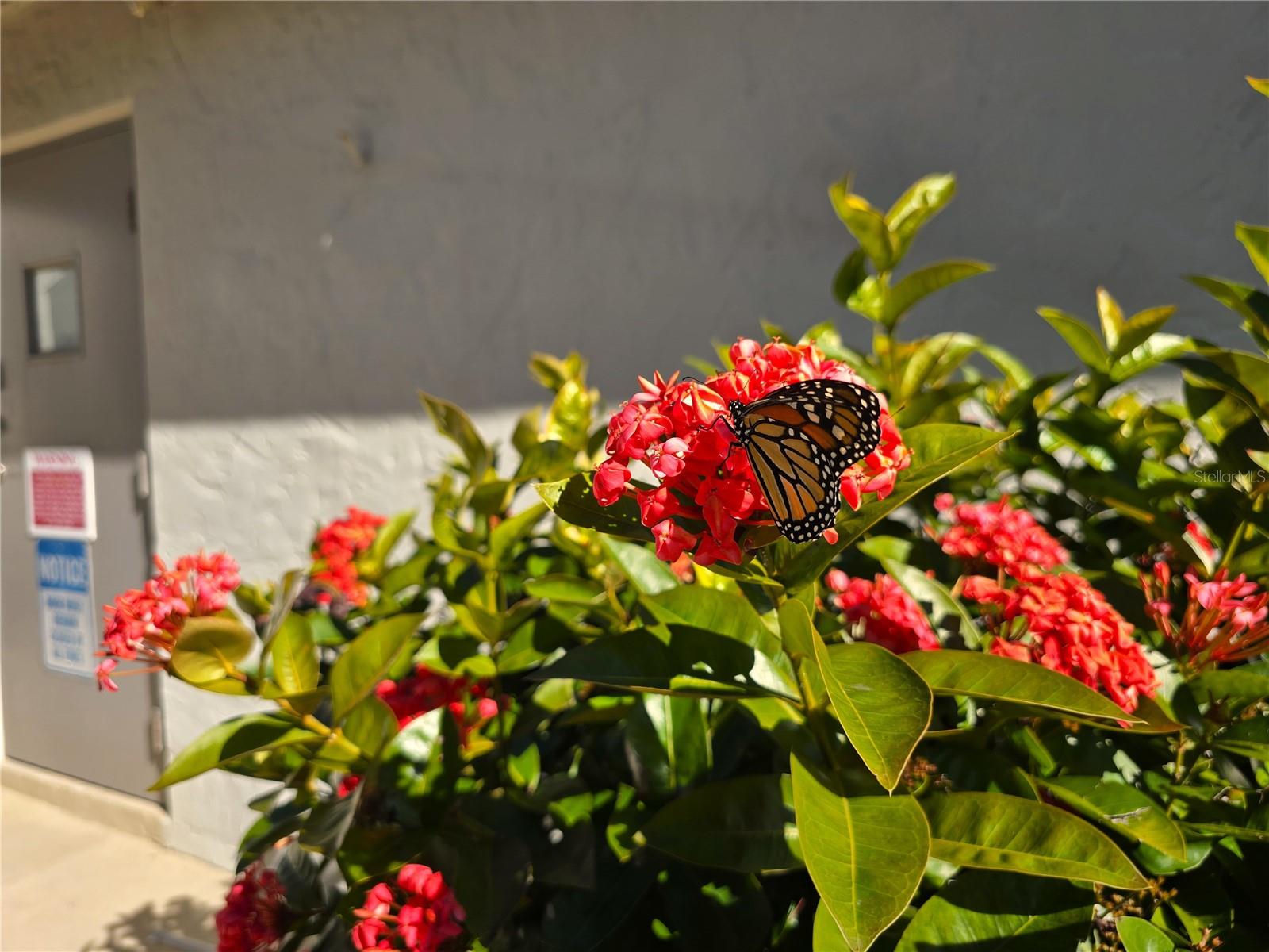 Image 39 of 52 For 2625 State Road 590  1913