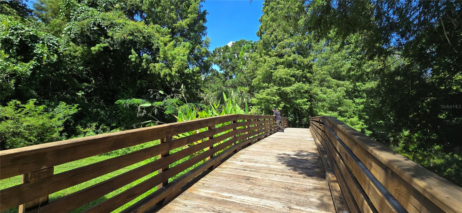 Image 46 of 52 For 2625 State Road 590  1913