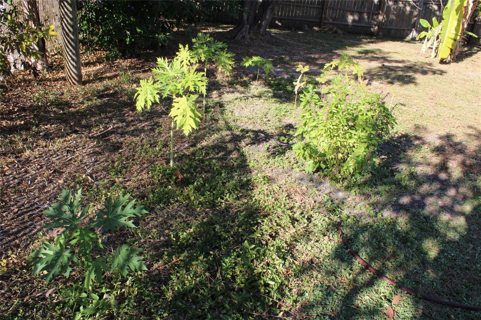 Image 10 of 12 For 6121 56th Avenue N