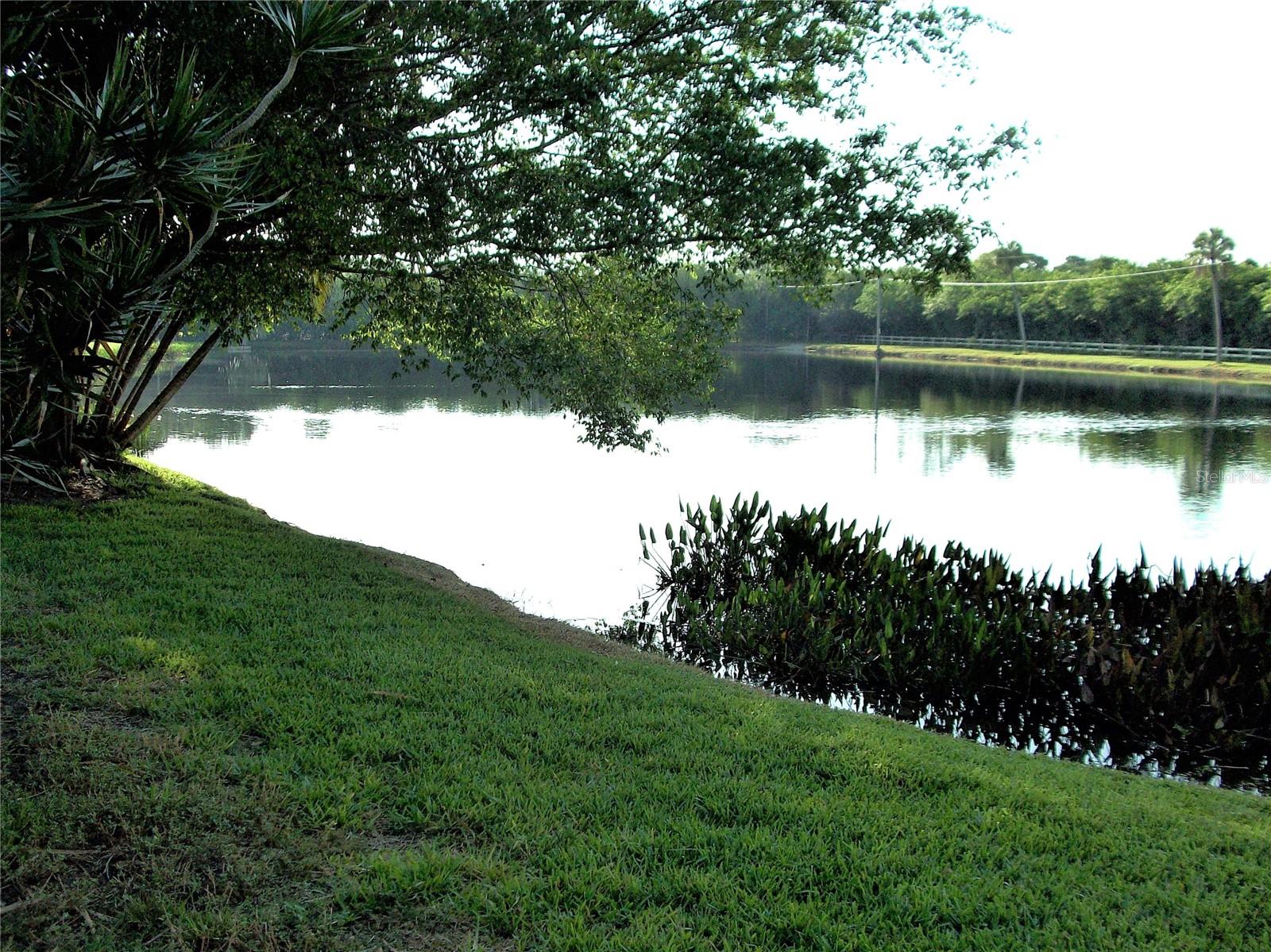 Image 18 of 18 For 776 116th Avenue 1111