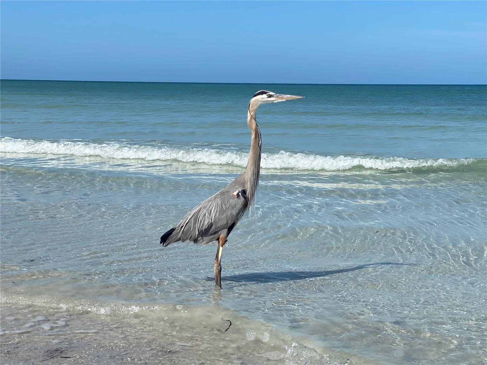 Image 44 of 45 For 10171 45th Way N