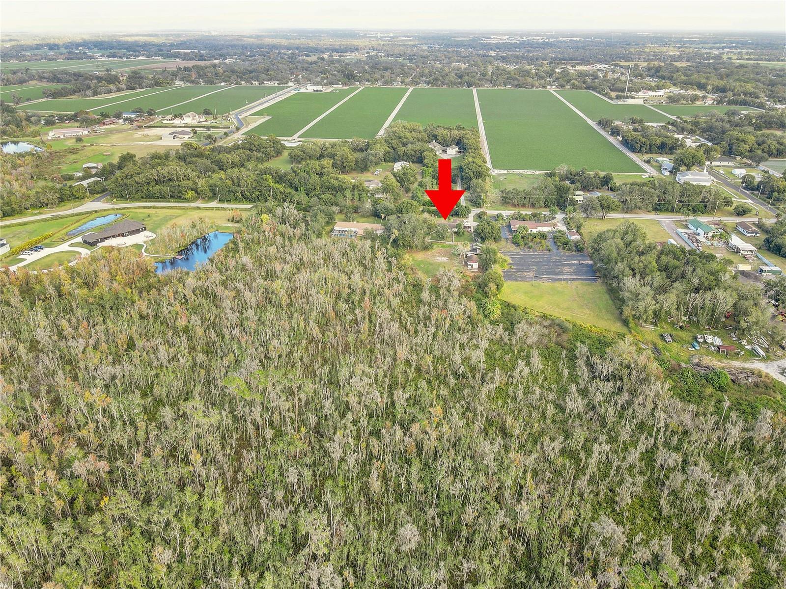 Image 9 of 19 For 3510 Moores Lake Road