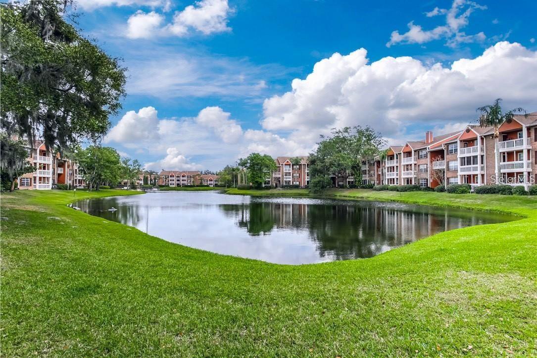 Image 48 of 73 For 10200 Gandy Boulevard N 235