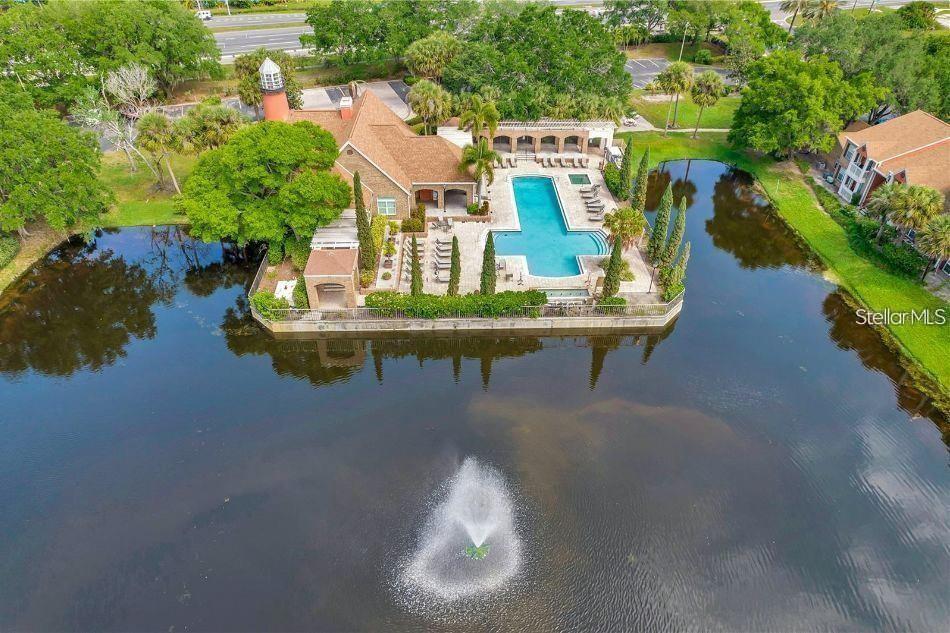 Image 56 of 73 For 10200 Gandy Boulevard N 235