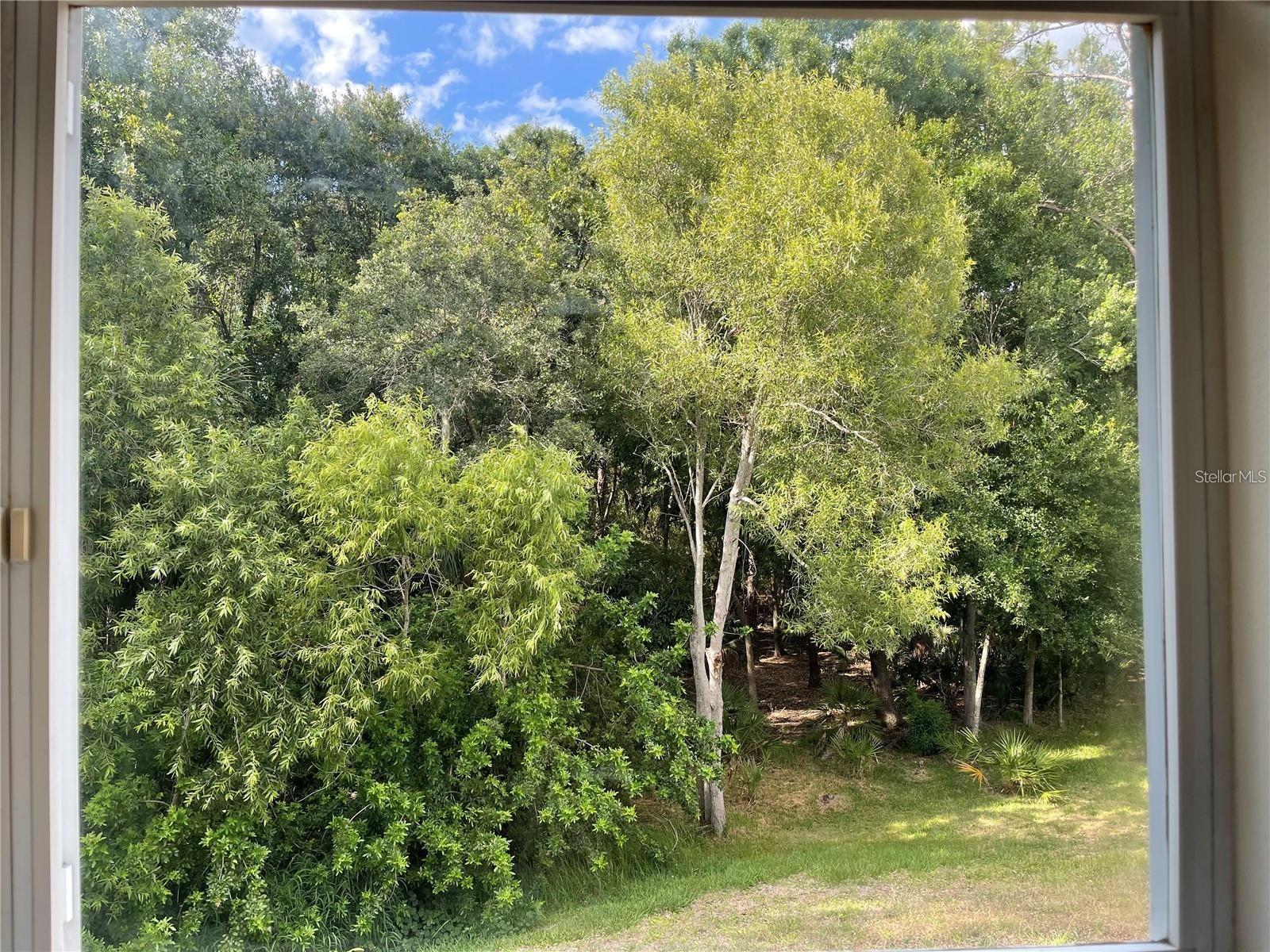 Image 3 of 6 For 9003 Grand Bayou Court