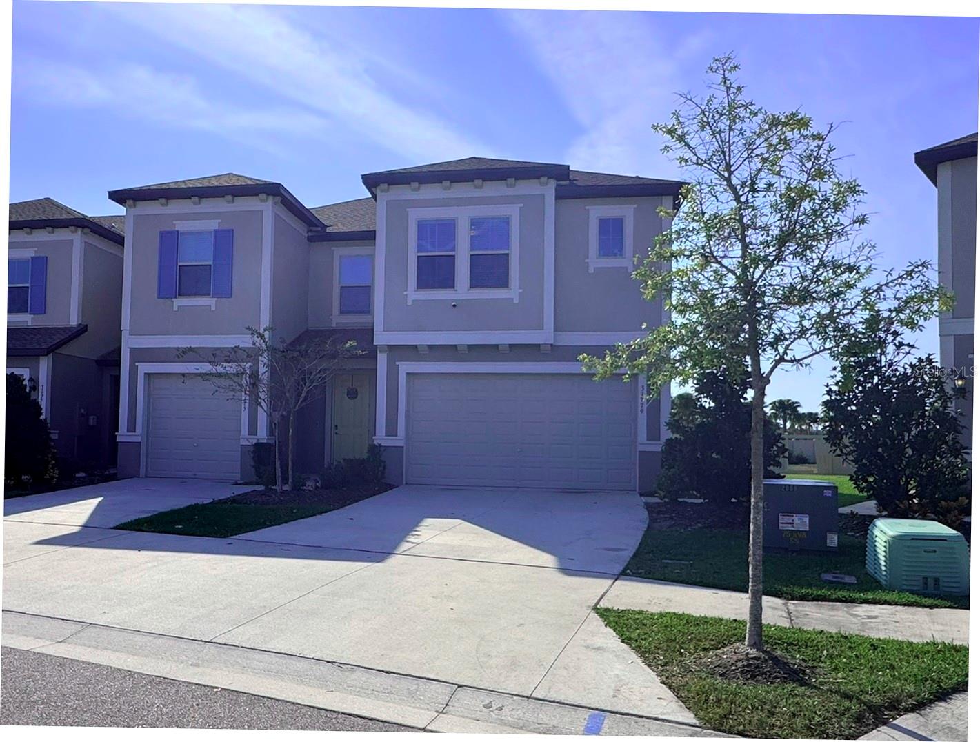 Details for 31779 Blue Passing Loop, WESLEY CHAPEL, FL 33545