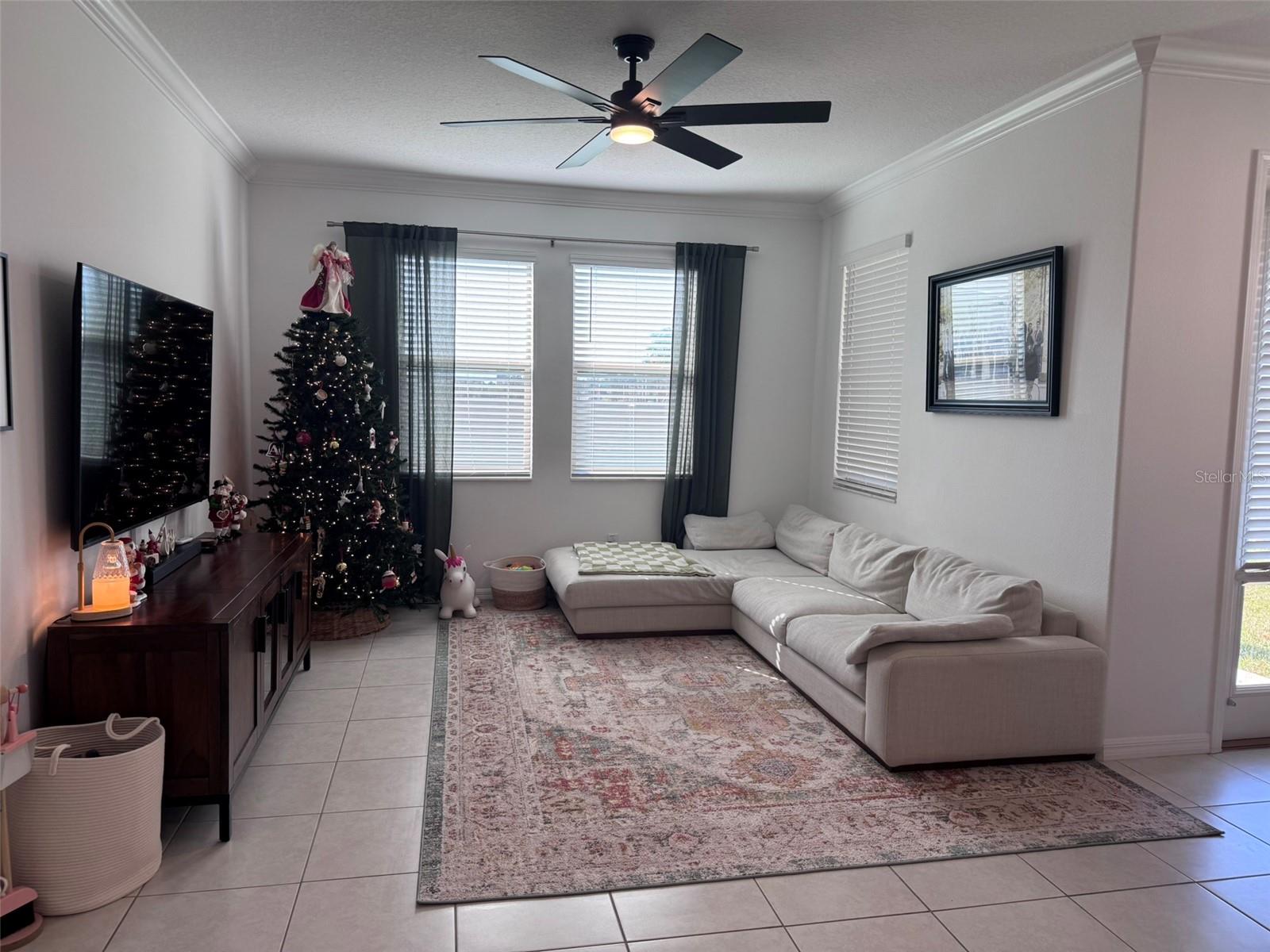 Image 9 of 36 For 31779 Blue Passing Loop